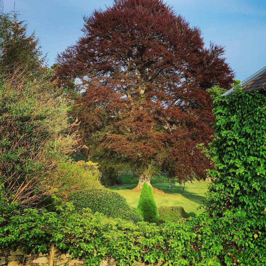 The Old Manse Of Blair, Boutique Hotel & Michelin Restaurant Blair Atholl Dış mekan fotoğraf
